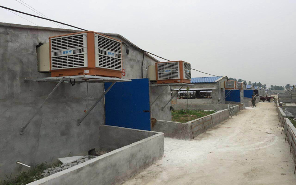 一定要關(guān)注！今天正式拉開瑞昌2016養(yǎng)豬場(chǎng)通風(fēng)降溫旺季序幕！