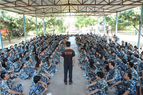 金馬爭霸，學院席地而坐