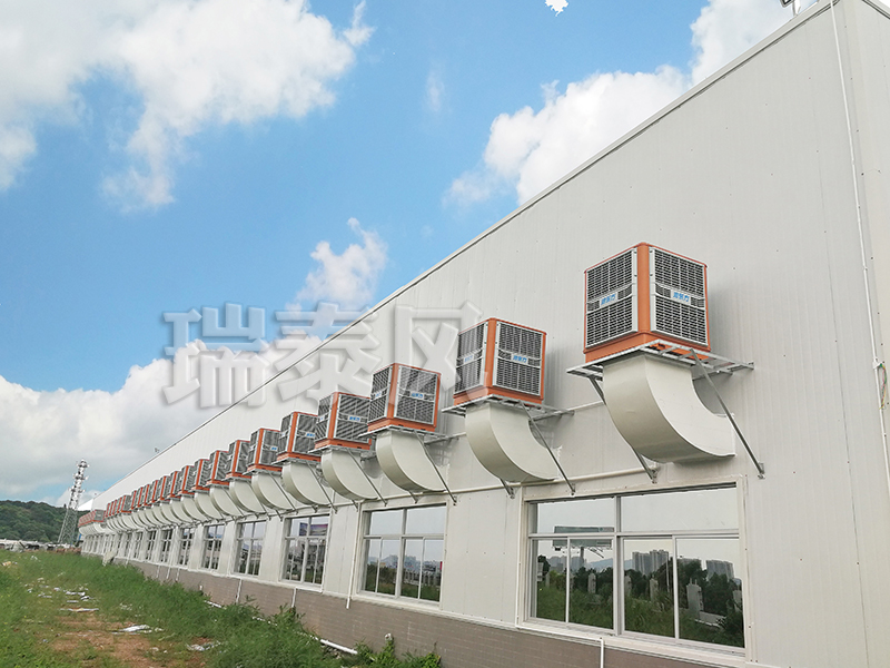 茂名環(huán)?？照{(diào),茂名冷風(fēng)機(jī),茂名環(huán)?？照{(diào)廠家,茂名冷風(fēng)機(jī)廠家瑞泰風(fēng)安裝案例