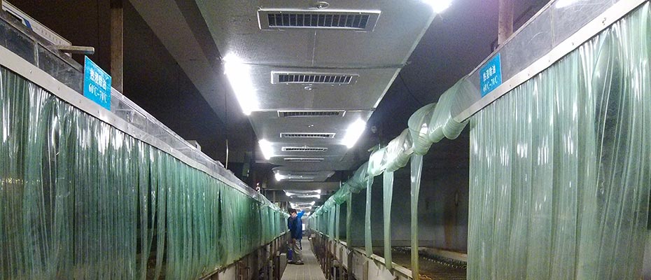 東莞環(huán)?？照{(diào)工程